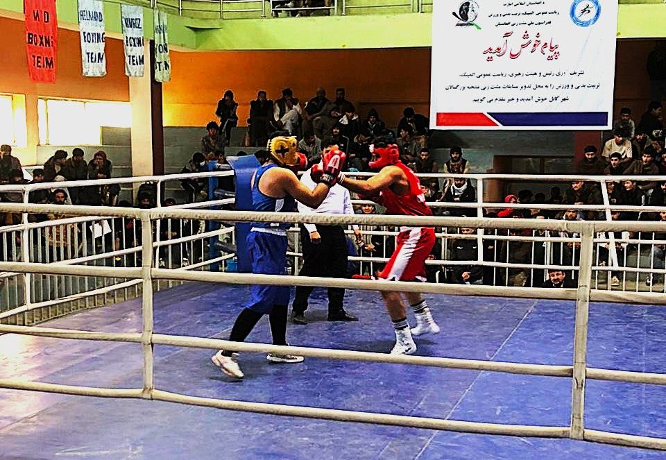 مسابقات بوکس به دنبال اعتراض ورزشکاران و استناد به یک نامه قدیمی ممنوع اعلام شد