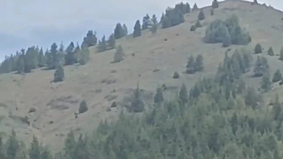 مرزبانان پاکستانی بار دیگر با طالبان درگیر شدند