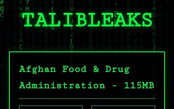 حمله هکری به نهادهای طالبان؛ هکرها اسناد چندین وزارتخانه طالبان را منتشر کردند