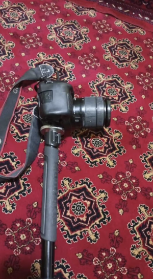 طالبان تصادر كاميرات صحفيين في ولاية بروان وتمنع تصوير الكائنات الحية