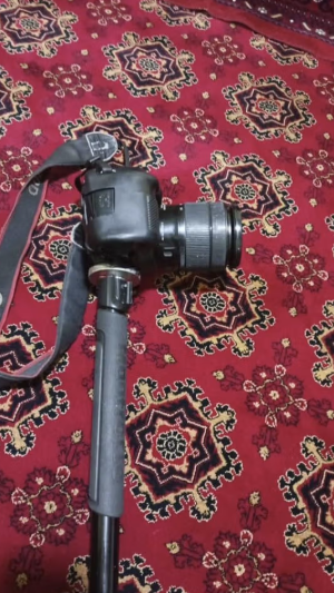 طالبان تصادر كاميرات صحفيين في ولاية بروان وتمنع تصوير الكائنات الحية