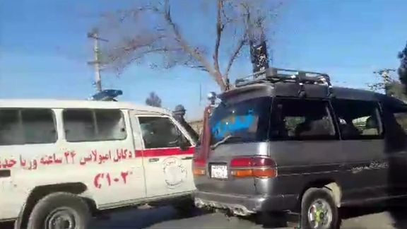 امین احمدی: هزارهها فاقد دولتاند و 'تحت اشغال طالبان زندگی میکنند'