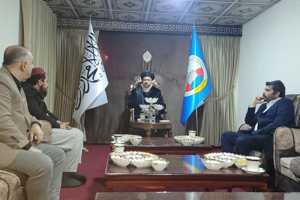 ترکي شرکتونو په افغانستان کې د لمریزې برېښنا د تولید په برخه کې پانګونې ته لېوالتیا ښودلې