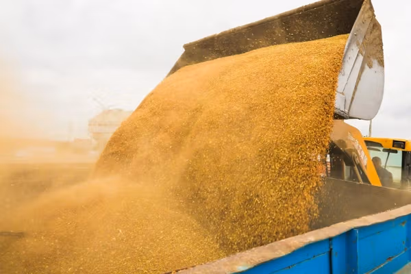 افغانستان ته د قزاقستان د غلو دانو صادرات دوه برابره زیات شوي