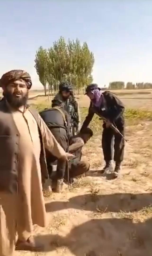 طالبانو په غزنې کې یو شمېر کسان نيولي چې د څاګانو سرونه یې نه وو پټ کړي