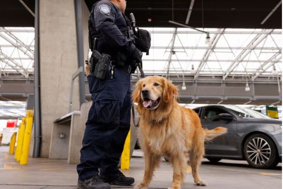 مردی که به سگ لگد زده بود از امریکا اخراج شد