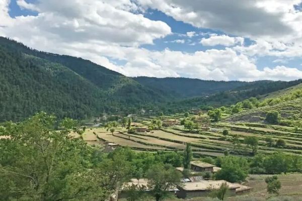 پاکستان یک منطقه خیبرپختونخوا را بهدلیل عملیات ارتش تخلیه میکند