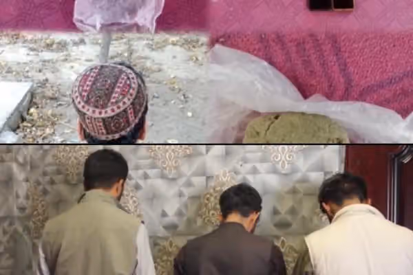 طالبان وایي د کابل په ګډون یې ۸ولایتونو کې د غلا او نشه یې توکو د لیږد په تور ۴۶کسان نیولي