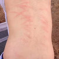 فراتر از ۱۰۷ هزار شلاق طالبان بر تن انسان افغانستان