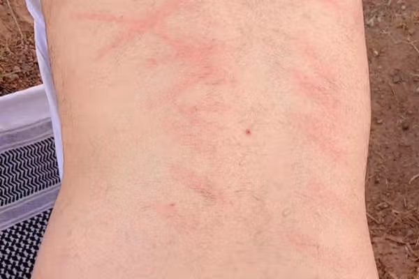 محکمه عالی طالبان دسترسی به معلومات درباره تنبیه بدنی را محدود کرده است