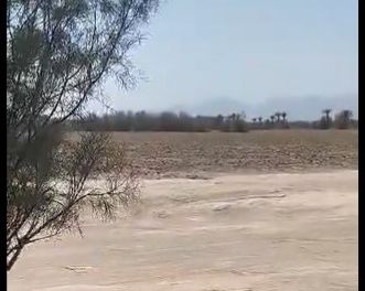 سازمان حقوق بشری حالوش: یک افغان به ضرب گلوله در سیستان و بلوچستان ایران کشته شد