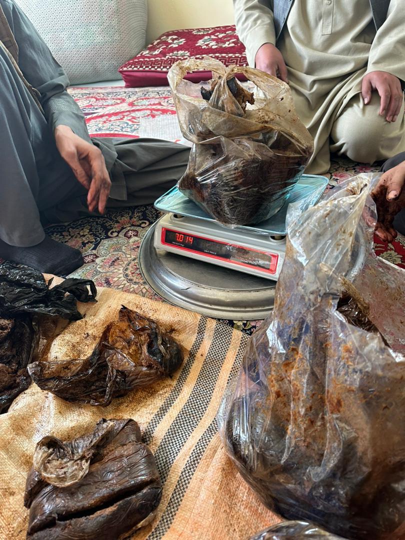 د هلمند تاریاک؛ هلمندي کروندګر د تاریاکو د یو بل فصل لپاره د کروندو په تیاريو بوخت دي