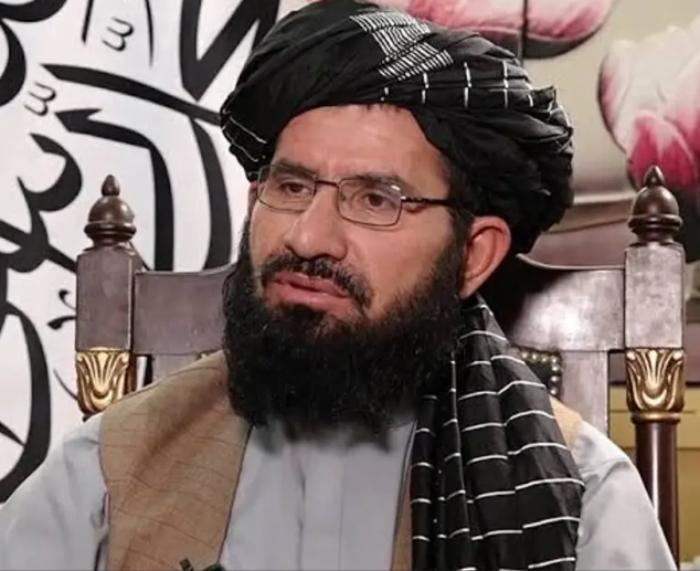 د طالبانو د فرهنګ وزارت معیین وايي چې دغه ډله د هبت الله تر مشرۍ لاندې یو موټې ده