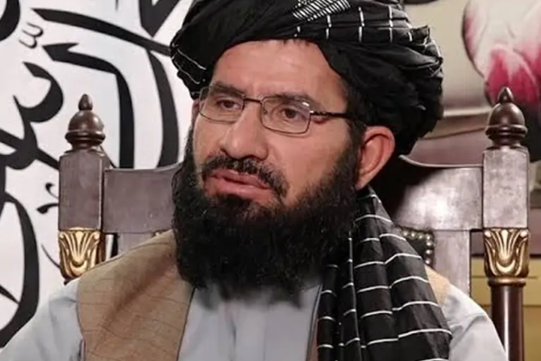 د طالبانو د فرهنګ وزارت معیین وايي چې دغه ډله د هبت الله تر مشرۍ لاندې یو موټې ده