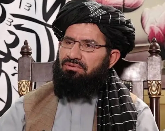 د طالبانو د فرهنګ وزارت معیین وايي چې دغه ډله د هبت الله تر مشرۍ لاندې یو موټې ده