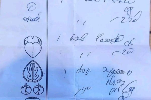 طالبان: ډاکټران باید رمزي یا نه لوستل کېدونکې نسخې ونه لیکي