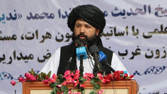 Higher Education Curriculum Now Aligned With ‘Islamic & Afghan Culture’, Says Taliban