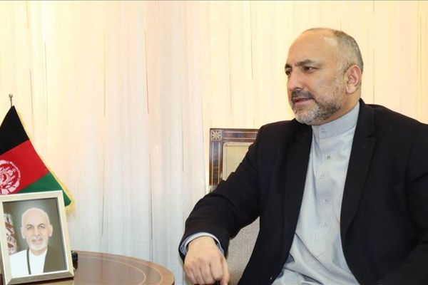 محمد حنیف اتمر: د ډیورنډ کرښې په څېر ملي موضوعاتو کې د ولس اراده له پامه غورځول شوې