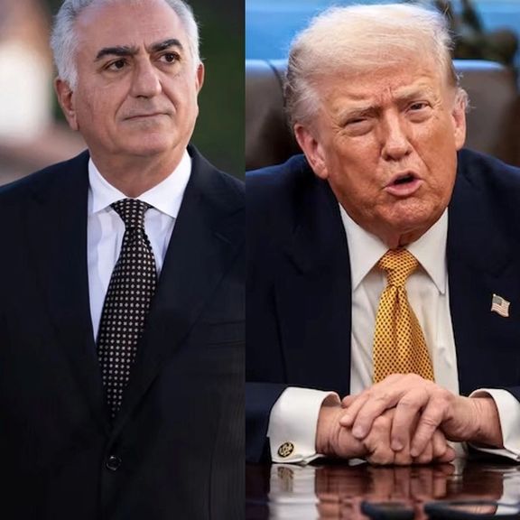 ترامپ توانایی رضا پهلوی برای کسب حمایت ایرانیان را زیر سوال برد