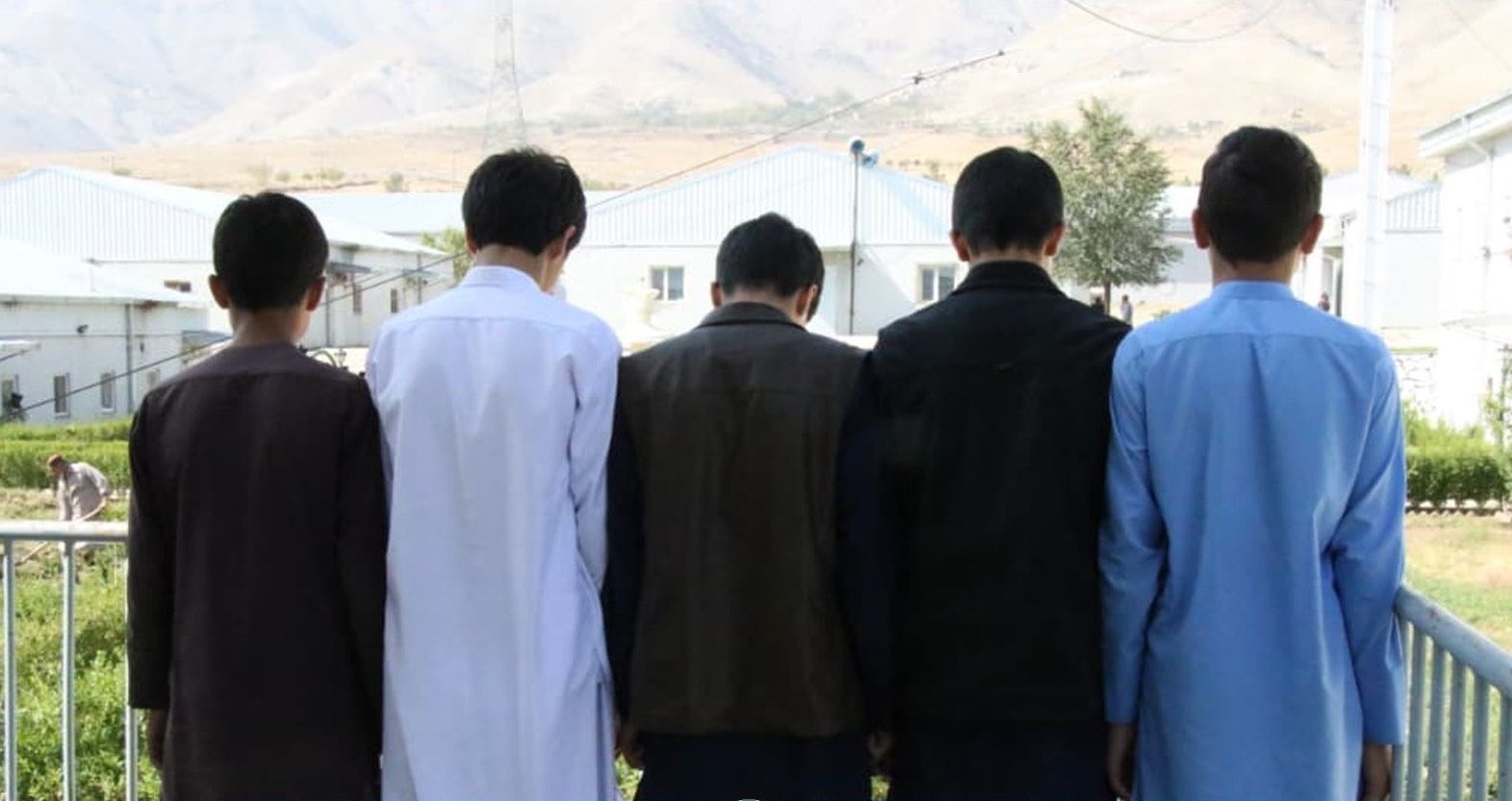 د کم‌عمره ځوانانو له‌خوا تاوتریخوالی؛ پروان کې پنځه ځوانان د یوه کس د وژنې په تور نیول شوي