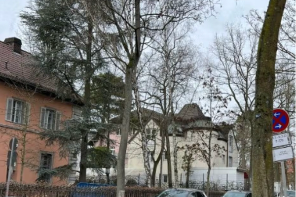 Germany Approves Deployment Of Two Taliban Diplomats To Berlin, Bonn