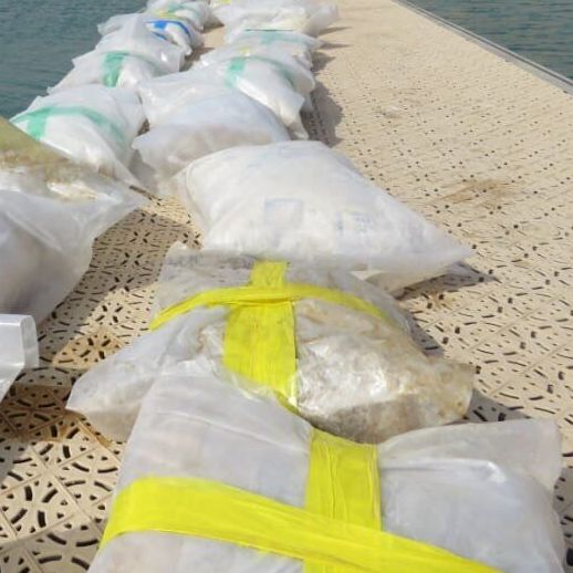 مقام ایرانی از کشف و ضبط ۱۵ کیلوگرام مواد مخدر در مرز افغانستان خبر داد