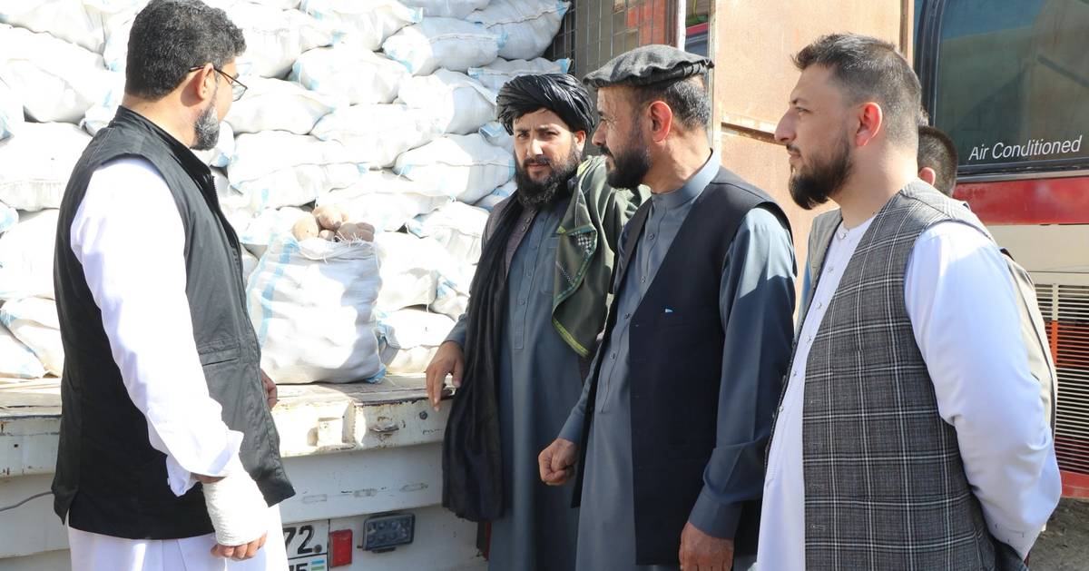 په لومړي ځل ۲۵۰ ټنه کچالو له دوا پاشۍ پرته د افغانستان او ازبکستان ګډ ...