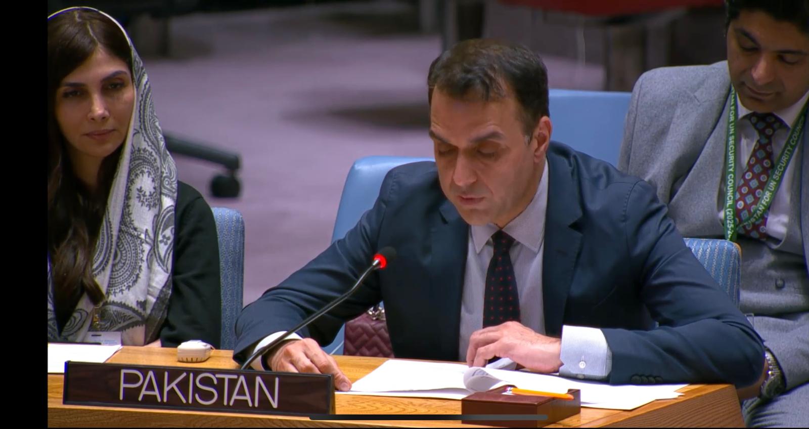 ملګرو ملتونو کې پاکستان استازی: پاکستاني طالبانو افغانستان کې پرمختللې وسلې ترلاسه کړې دي