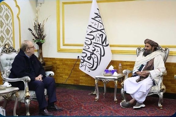 طالبان: ملل متحد یک کنفرانس بینالمللی درباره کشت بدیل خشخاش در کابل برگزار میکند