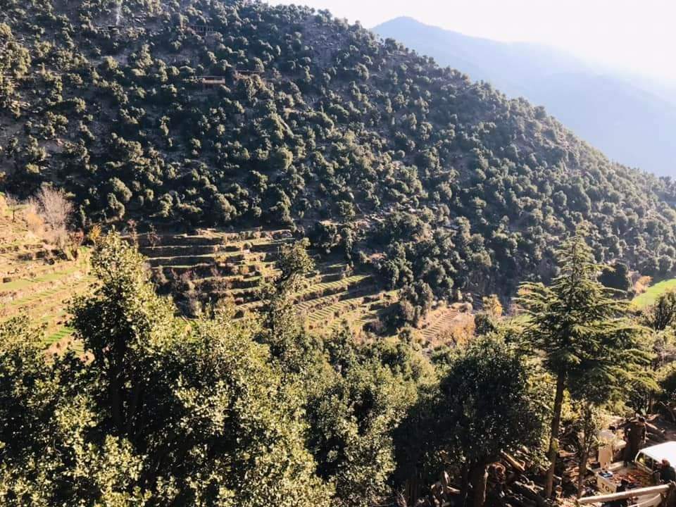 منابع می‌گویند نیروهای طالبان و نظامیان پاکستان در ولسوالی دانگام ولایت کنر درگیر شدند