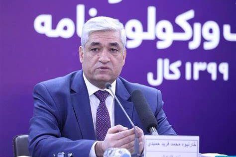 فرید حمیدی: طالبان ظرفیت لازم برای تنظیم اقتصاد و حاکمیت قانون در افغانستان را ندارند