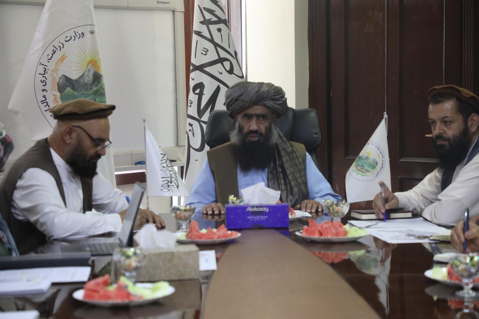 ملګري ملتونه کابل کې د ځمکې لاندې اوبو او اقلیمي بدلون د مدیریت لپاره ۱۵ پروژې پلي کوي