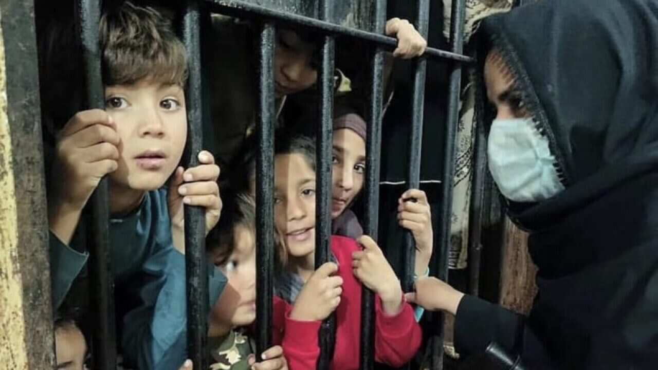 د پاکستان د بشري حقونو کمېسیون: افغان کډوال د نیول کېدو له وېري روغتونونو ته نه ځي