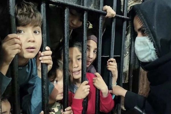 د پاکستان د بشري حقونو کمېسیون: افغان کډوال د نیول کېدو له وېري روغتونونو ته نه ځي