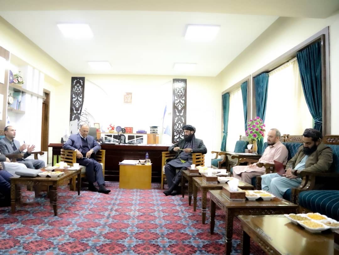 روشن او اغاخان بنسټ له طالبانو سره په مخابراتي سکټور کې د لاهمکارۍ ژمنه کړې