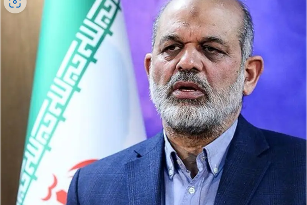 Illegal Afghan Immigrants Must Be Deported, Says Iranian Interior Minister