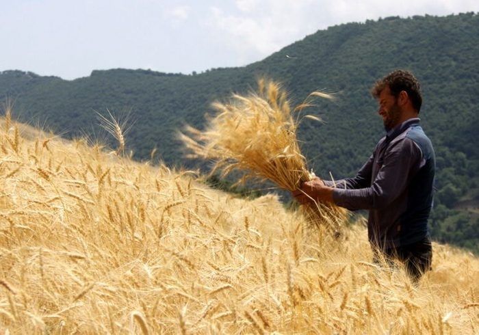 د وچکالۍ اندېښنه؛ ملګرو ملتونو د کرنیزو سیمو د رطوبت کمېدو خبرداری ورکړی