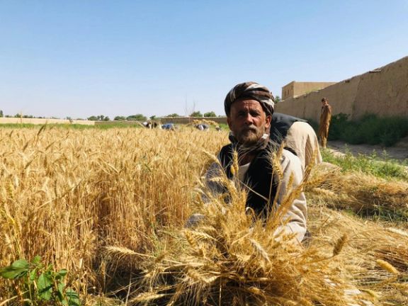 سازمان ملل میگوید برای کمک به بیش از دو میلیون افغان به ۳۰ میلیون دالر نیاز دارد