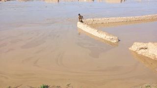 له اقلیمي بدلون ډېر اغېزمن افغانستان او له سېلابونو د افغانانو زیاتېدونکي مشکلات