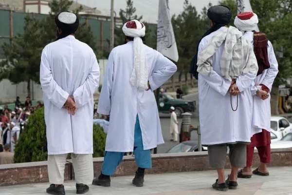 طالبان وايي، په بلخ ولایت کې یې دوه کوډګر نیولي دي