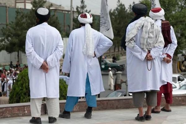 طالبان وايي، په بلخ ولایت کې یې دوه کوډګر نیولي دي