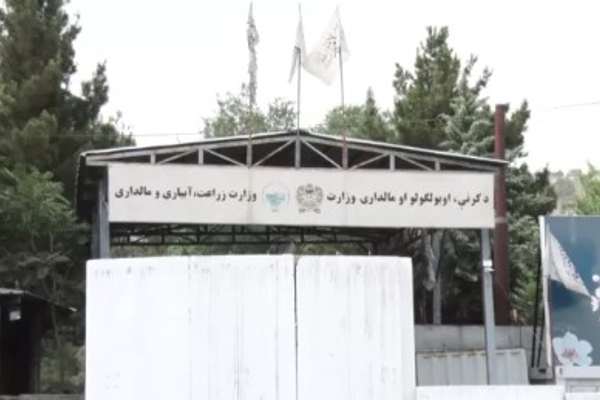 Taliban Delegation Visits China for Agricultural Collaboration