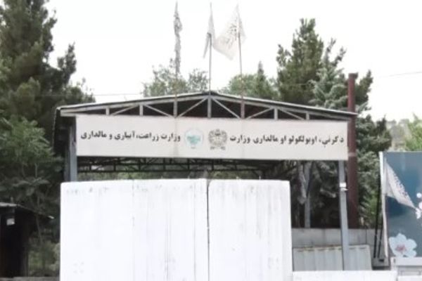 Taliban Delegation Visits China for Agricultural Collaboration