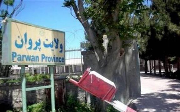 جبهه مقاومت ملی میگوید یک عضو طالبان را در پروان کشته است