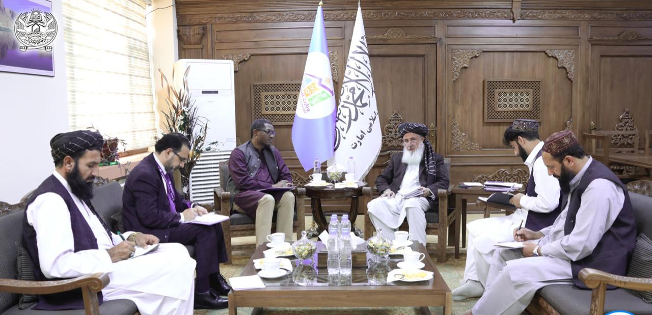 ملګرو ملتونو د افغان کډوالو لپاره د ۵۲۰ میلیونه ډالرو غوښتنه کړې