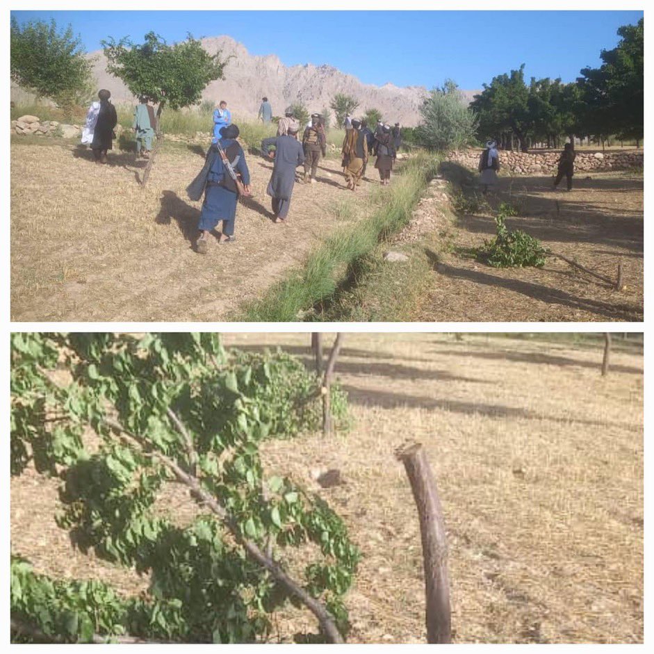 طالبان در ارزگان خاص 'بیش از ۴۰ هزاره' را در پیوند به قتل یک روحانی شیعه بازداشت کرد