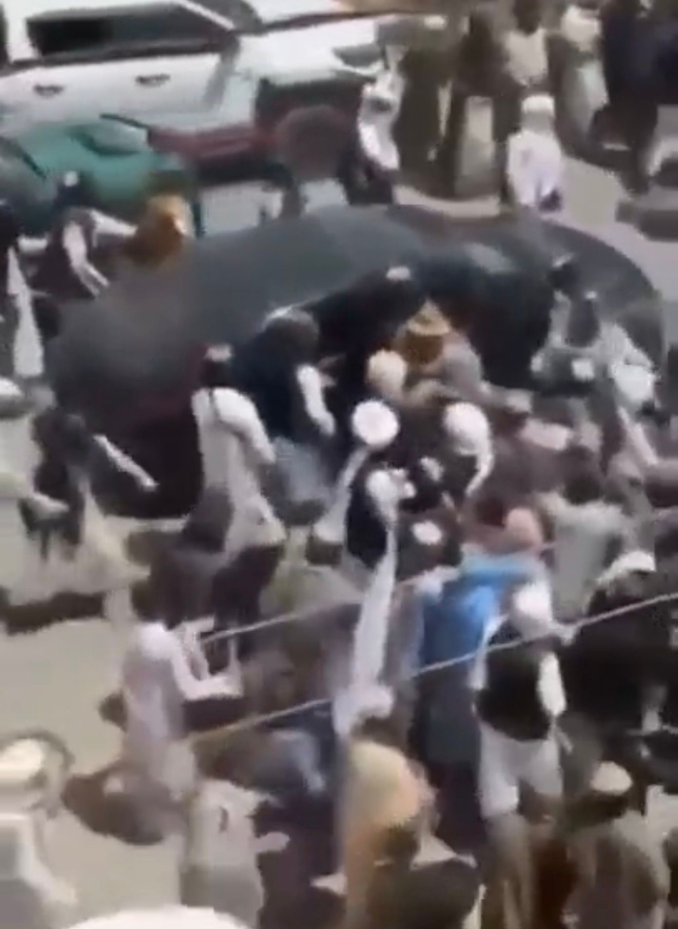 هبت‌الله: په کندهار کې ښار کې مې د موټر هېندارې ښکته کړې او په لاس مې خلکو سره روغبړ وکړ