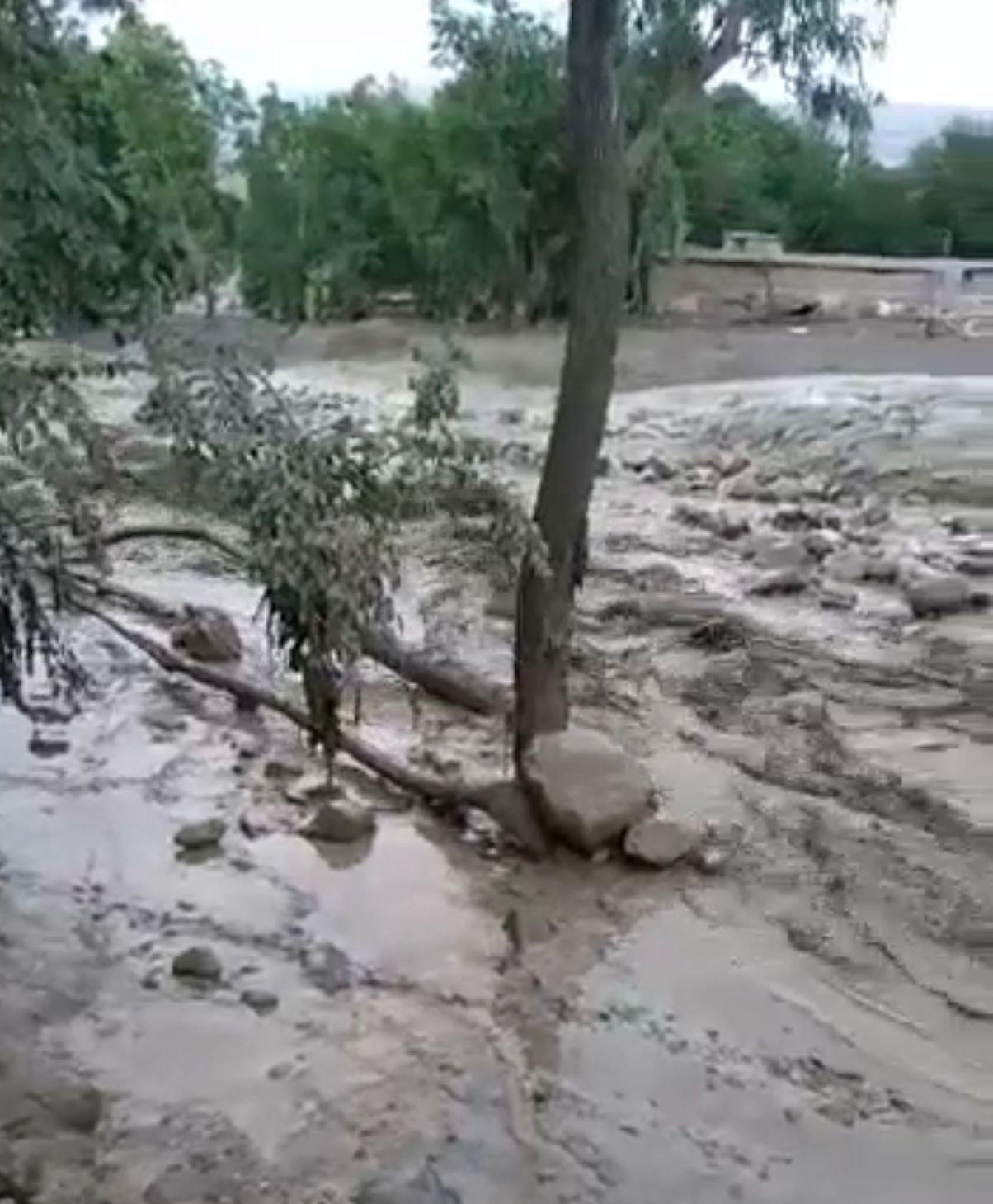آمار سازمان ملل از تلفات سیلاب در افغانستان: در یک هفته گذشته در ۵ ولایت ۳۹ نفر جان باختند