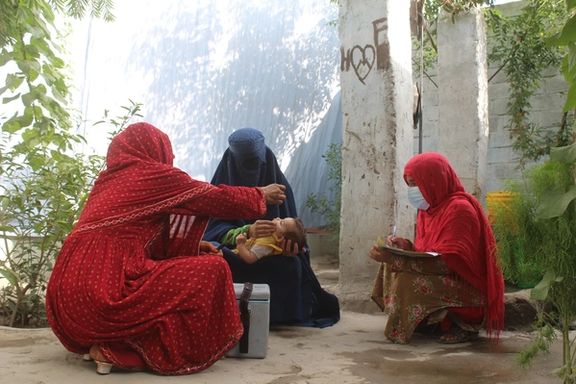 په افغانستان کې د ګوزڼ ناروغۍ پېښې ۲۸۳ سلنه زیاتې شوې دي