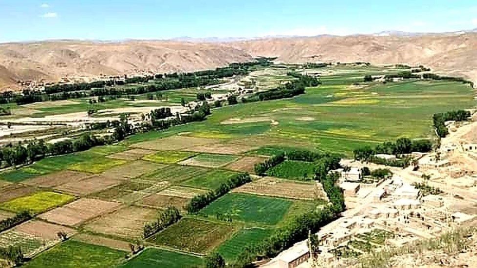 د غور اوسېدونکي وايي، چې طالبانو ۶۰۰ کورنۍ له دولت یار څخه په جبري توګه وتلو ته اړې کړې دي